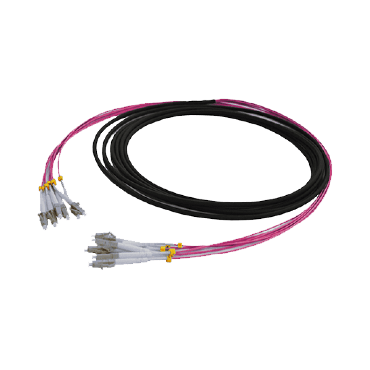 Black 12 Fibre OM4 LSZH Pre-Terminated Fibre Optic Cable on a Drum with Water blocking yarn and 1 Pulling eye. Staggered on Pulling Eye End Only. 50cm Breakout at Both ends with Erika Violet Zero Fibre.