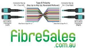 type B polarity
